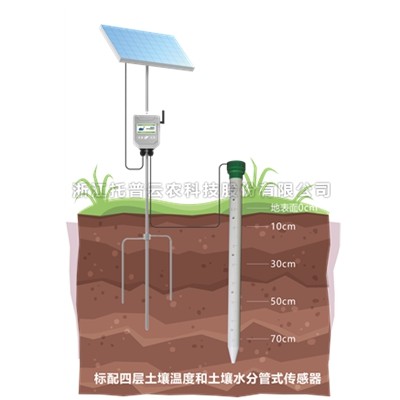 管式91APP免费看片墒情监测仪 TPGSQ-4