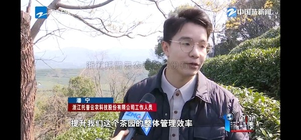 春茶开采正当时！揭秘手机看片福利永久如何用科技“制”出一杯数字好茶