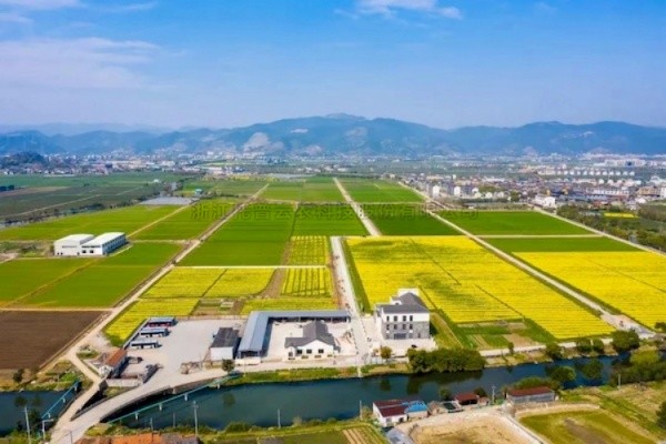 手机看片福利永久高标准农田建设答卷：用实践书写政策新篇