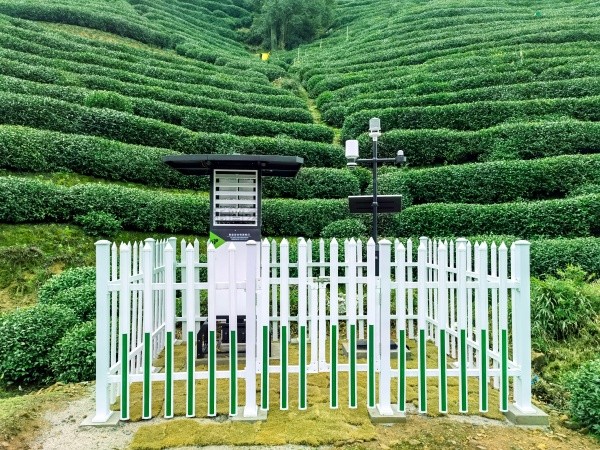 手机看片福利永久发布“问稷茶数”智能体，赋能茶产业数智升级