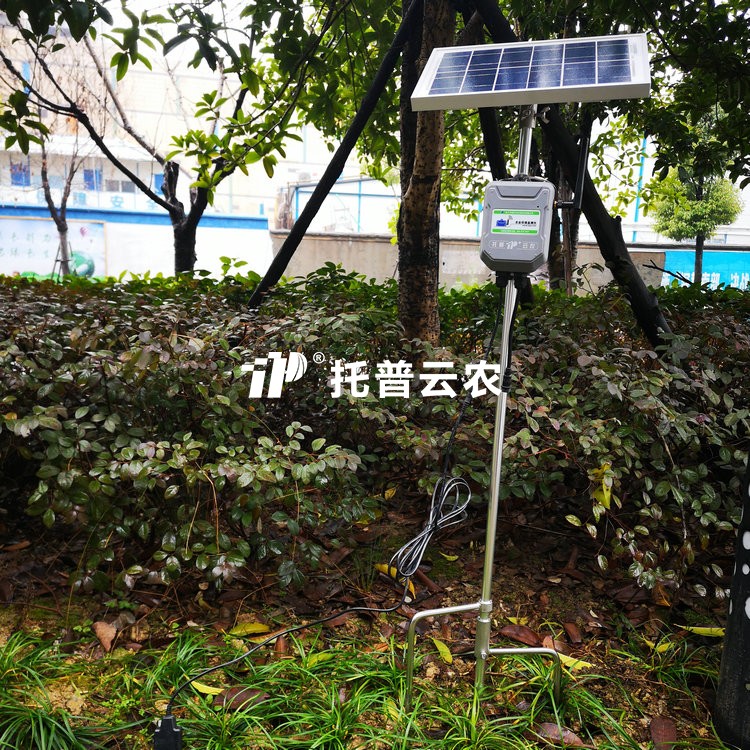 在线91APP免费看片水分温度盐分测定仪