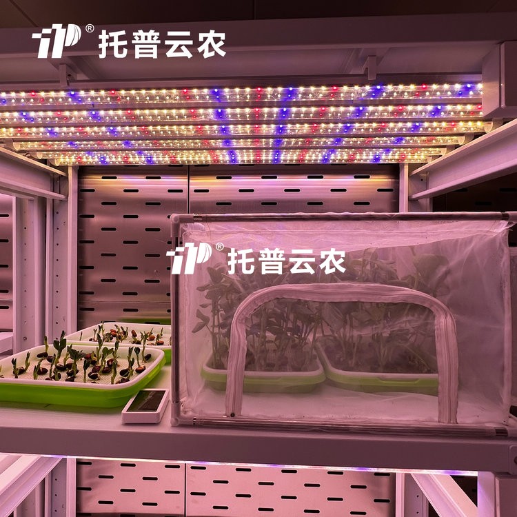 顶置光源人工气候室是什么？