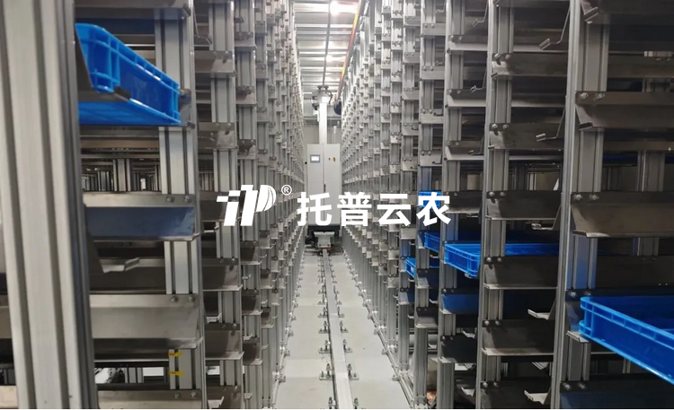 种质资源库建设方案（2026年最新）