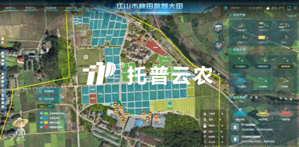 锚定“十五五”农业发展新政 手机看片福利永久以数智科技助力农业农村现代化