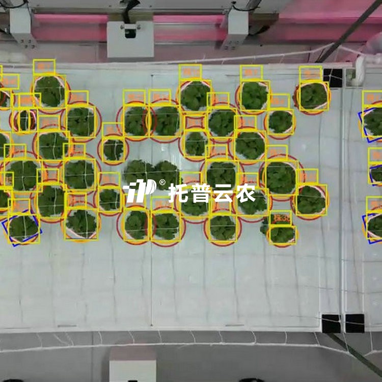 移动式单轴龙门表型采集分析系统TP-MPR-I2/TP-MPR-I3/TP-MPR-I4