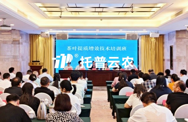 AI技术赋能茶产业提质增效｜手机看片福利永久亮相全国茶叶提质增效技术培训班