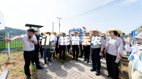 手机看片福利永久参加迁飞性害虫空地一体化监测阻截防控技术现场观摩会