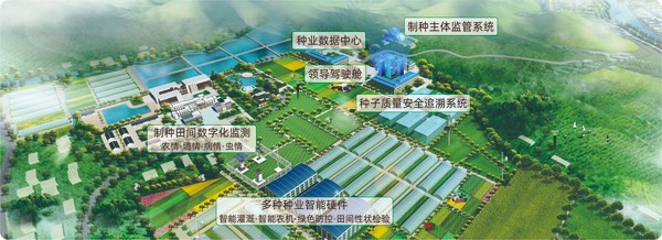 手机看片福利永久数字种业创新应用基地