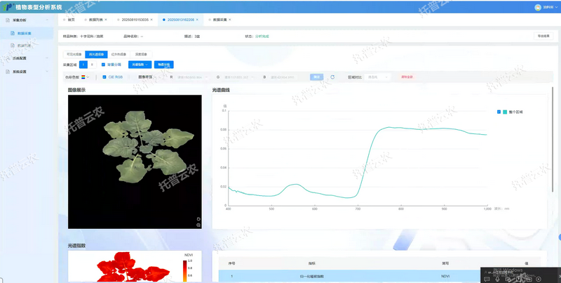 1781659897723474.png 详情-图像展示2.png