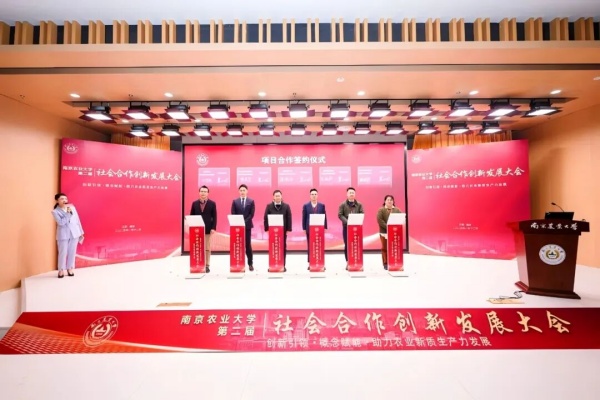 图片6_副本.jpg